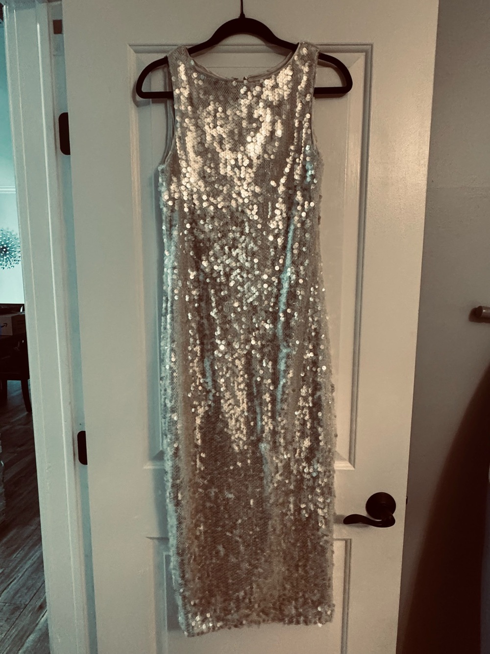 Alex Marie Silver Sequin Sleeveless Maxi Gown